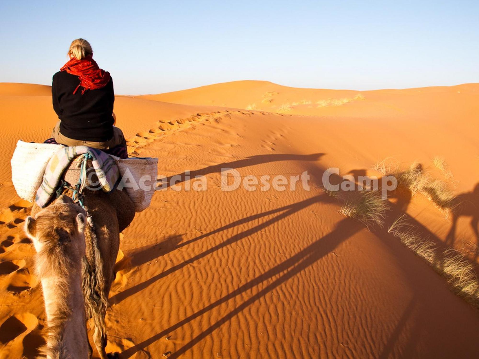 Acacia Desert Camp Hotel Мерцуга Екстериор снимка