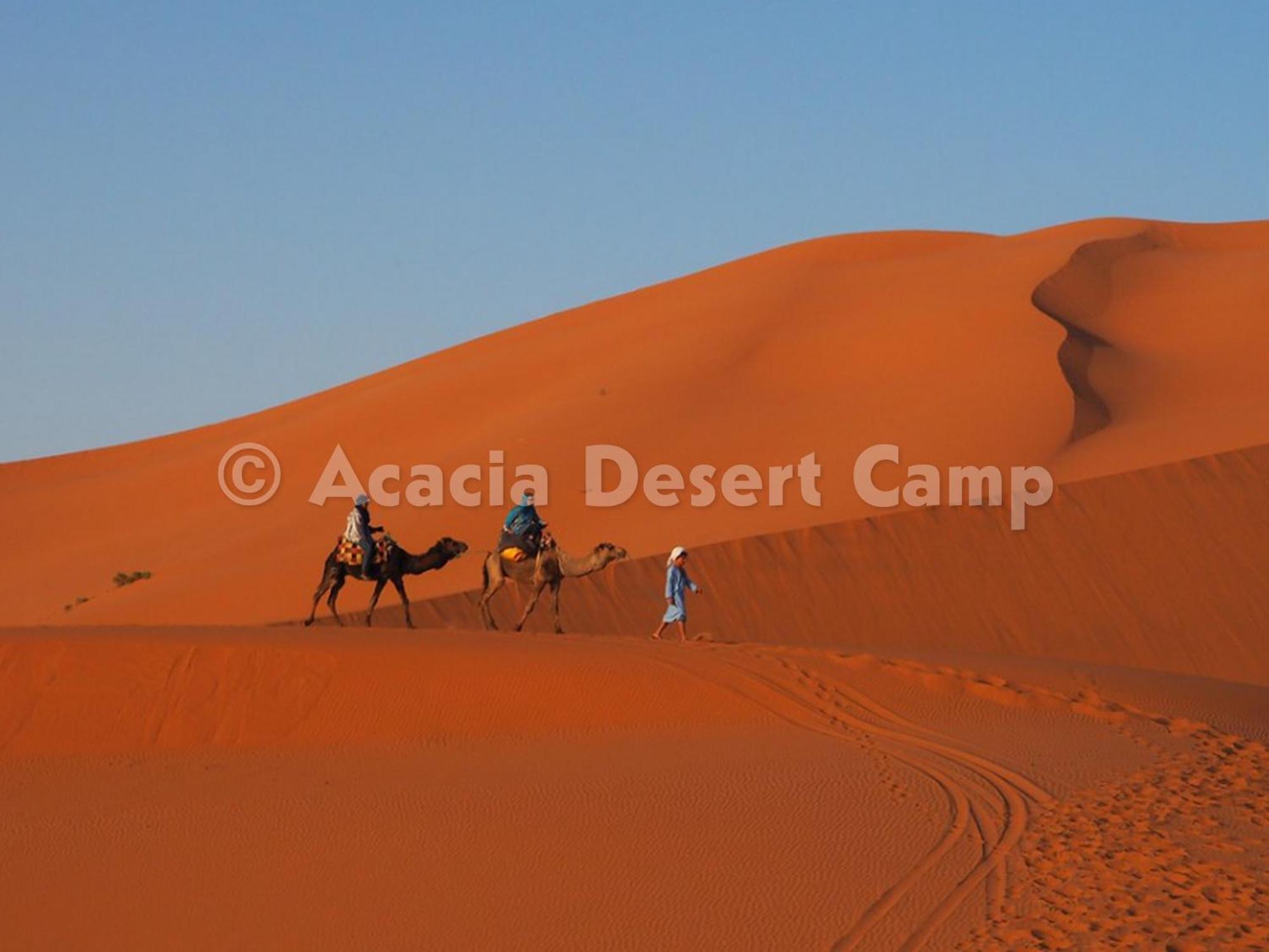 Acacia Desert Camp Hotel Мерцуга Екстериор снимка
